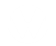 Volkswagen VW